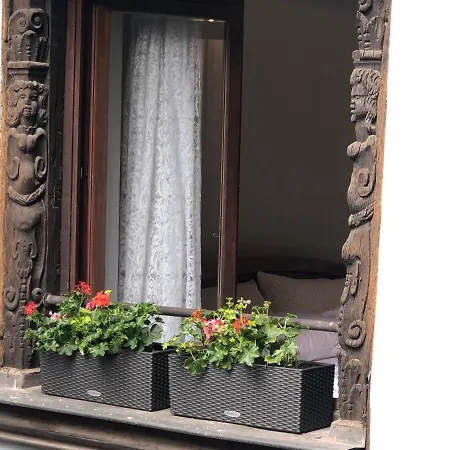 Apartment Quai Des Pecheurs - Vue Cathedrale Strasbourg